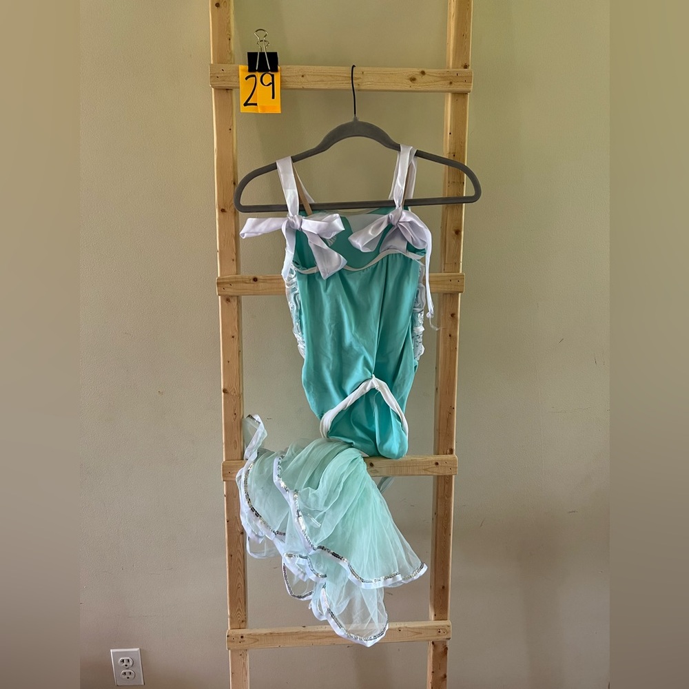 Dance Costumes - Picture 10 of 16